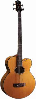 BASSE ELECTRO-ACOUSTIQUE PAB60E PEERLESS